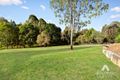 Property photo of 17-19 Maggie Court Cedar Vale QLD 4285