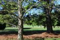 Property photo of 73 Kangaloon Road Bowral NSW 2576