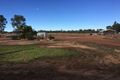 Property photo of 35 Jupp Street Charleville QLD 4470