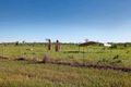 Property photo of 87 Kowari Road Berry Springs NT 0838