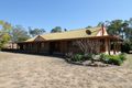 Property photo of 32 Willoughby Street Willows QLD 4702