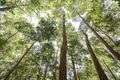 Property photo of 41 Wild Honey Place Buderim QLD 4556