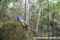 Property photo of 41 Wild Honey Place Buderim QLD 4556