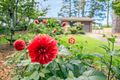 Property photo of 4 Belvidere Avenue Blackheath NSW 2785