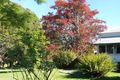 Property photo of 1735 Nimbin Road Coffee Camp NSW 2480