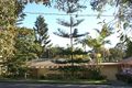 Property photo of 6 David Street Noosa Heads QLD 4567