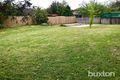 Property photo of 31B Springhurst Crescent Grovedale VIC 3216