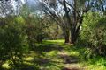 Property photo of 16B Willunga Street Eden Hills SA 5050