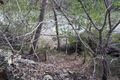 Property photo of 16 Island Close Pacific Haven QLD 4659
