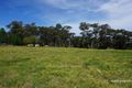 Property photo of 303 Pitt Town Road Kenthurst NSW 2156