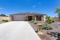Property photo of 38 Lime Street Strathalbyn SA 5255