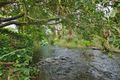 Property photo of 36 Don Road Healesville VIC 3777