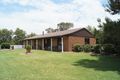 Property photo of 17 Moree Street Ashley NSW 2400