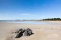 Property photo of 105 Gardners Road Greens Beach TAS 7270