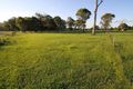 Property photo of 256-262 Wendt Road Chambers Flat QLD 4133