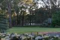 Property photo of 21-23 Aidan Crescent Elimbah QLD 4516