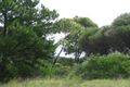 Property photo of 21 Elsdon Street Redhead NSW 2290