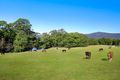 Property photo of 24 Hillcrest View Lane Kangaroo Valley NSW 2577