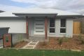 Property photo of 53 Capricorn Crescent Springfield Lakes QLD 4300
