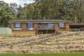 Property photo of 18 Nari Avenue Point Clare NSW 2250