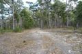 Property photo of 75 Boggy Creek Road Millingandi NSW 2549