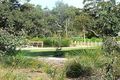 Property photo of 16 Bobtail Bend Wannanup WA 6210