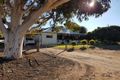 Property photo of 35 Turner Street Condobolin NSW 2877