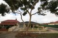 Property photo of 46 Victoria Street Queenstown SA 5014