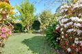 Property photo of 12 Kalanda Court Dicky Beach QLD 4551