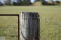 Property photo of 134 Long Swamp Road Forest Reefs NSW 2798