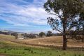 Property photo of 695 Caloola Road Newbridge NSW 2795