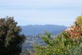 Property photo of 1 Punchbowl Road Punchbowl TAS 7249
