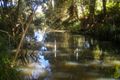 Property photo of 180 Upper Smiths Creek Road Kundabung NSW 2441