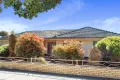 Property photo of 43 Loader Street Glynde SA 5070