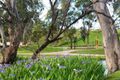 Property photo of LOT 19 Densley Avenue Bordertown SA 5268