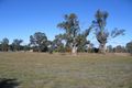 Property photo of 94 Olivers Lane Elphinstone VIC 3448