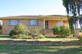 Property photo of 13 Wardle Street Junee NSW 2663