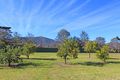 Property photo of 5 Old Cessnock Road Mulbring NSW 2323