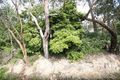 Property photo of 18 Old Forest Road The Basin VIC 3154