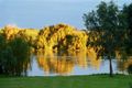 Property photo of 9 Kellett Street Monteith SA 5253