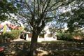 Property photo of 3 Malurus Avenue Lockleys SA 5032