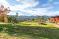 Property photo of 212 Moons Road Bemboka NSW 2550