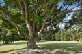 Property photo of 664 Currumbin Creek Road Currumbin Valley QLD 4223