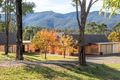 Property photo of 212 Moons Road Bemboka NSW 2550