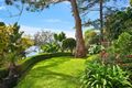 Property photo of 54D Cowdroy Avenue Cammeray NSW 2062