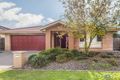 Property photo of 31 Ruth Bedford Street Franklin ACT 2913