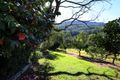 Property photo of 799 Wattamolla Road Wattamolla NSW 2535