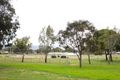 Property photo of 25 Argyle Terrace Klemzig SA 5087