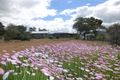 Property photo of 6 Plaudit Street York WA 6302