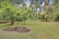 Property photo of 17 Victor Road Clematis VIC 3782